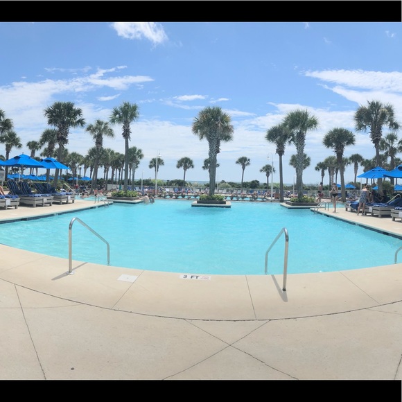 Meet your Posher, Lauren - Picture 1 of 1